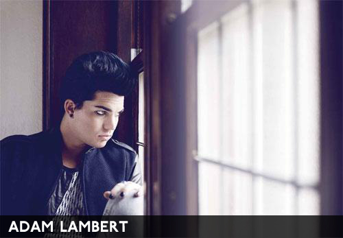 Adam-lambert-gay-and-bi-curious_500x347